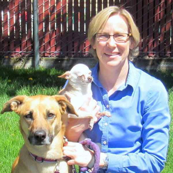 Dr. Kristy Cortright, Grass Valley Veterinarian