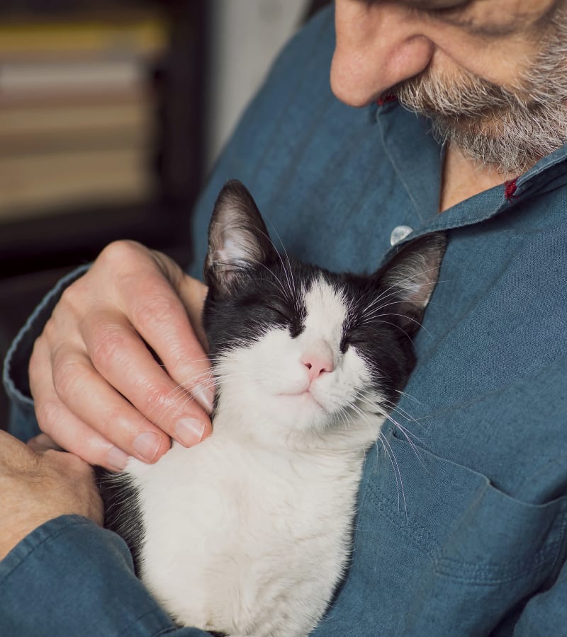 Grass Valley Veterinary Hospital | Grass Valley GP Veterinarian