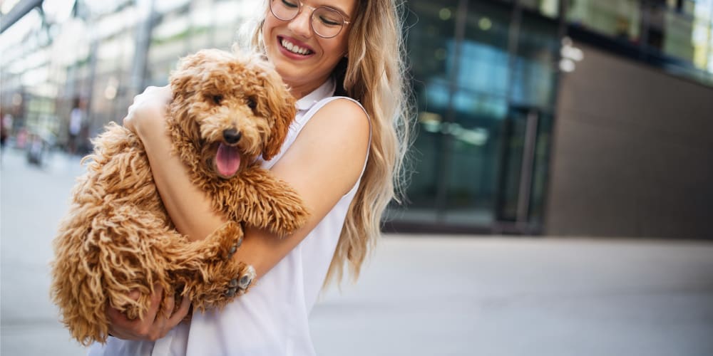 Grass Valley Veterinary Hospital | Grass Valley GP Veterinarian